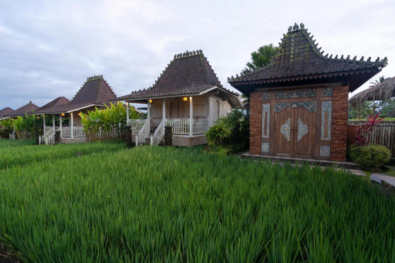 טגלאלאנג Uma Sebatu Villa מראה חיצוני תמונה